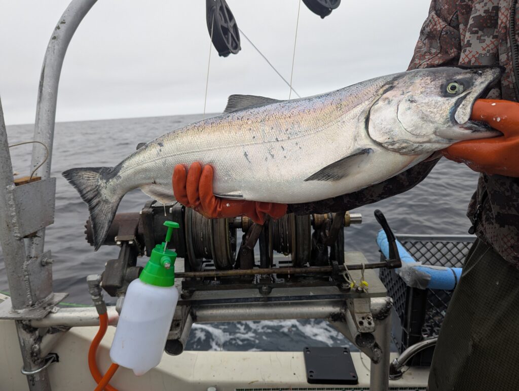 Monterey Bay Salmon Fishing Report