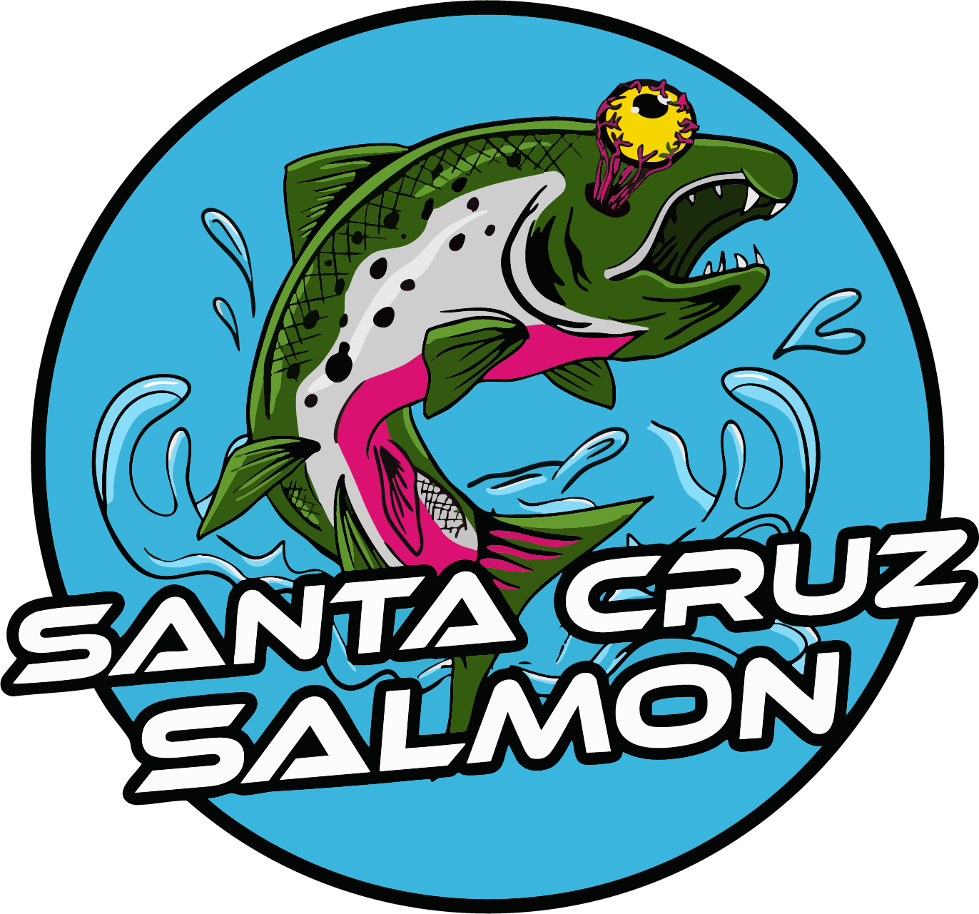 Santa Cruz Salmon_1x