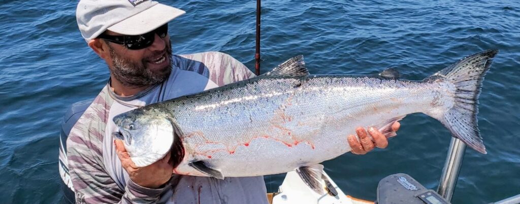 santa cruz salmon