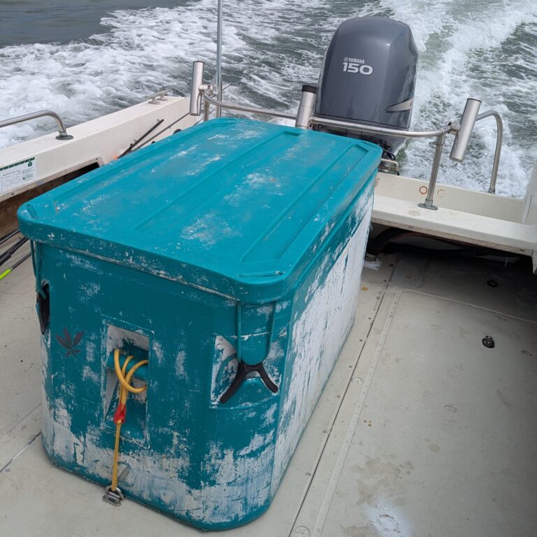 Commercial Salmon Fishing Santa Cruz